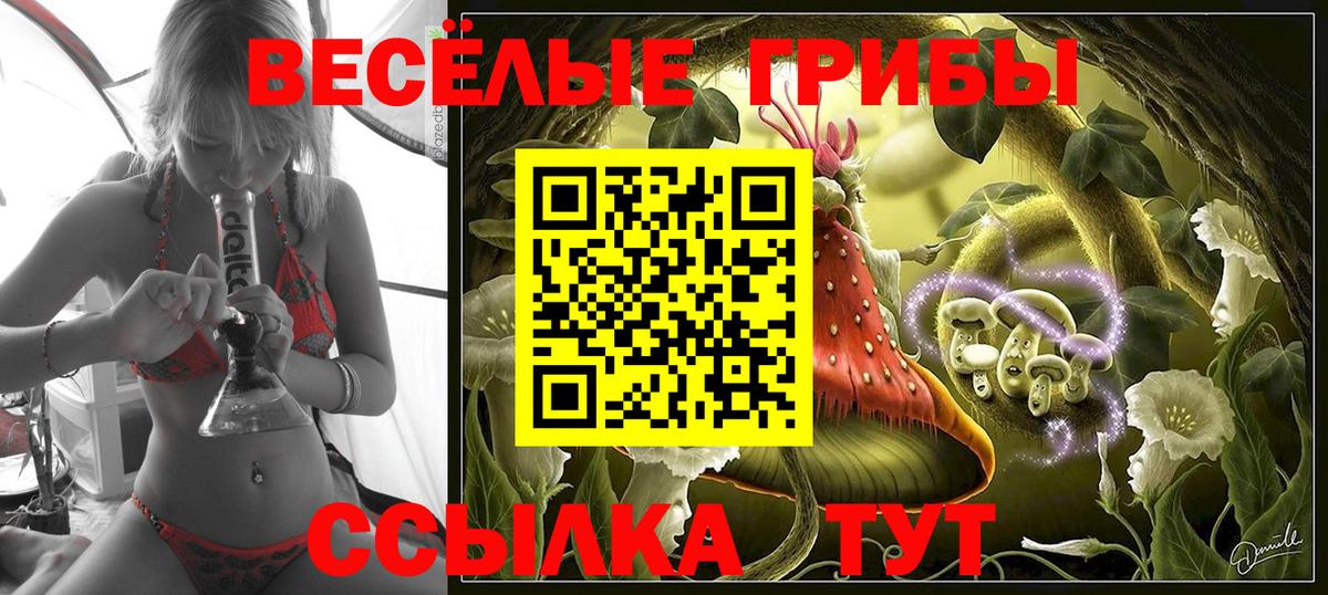 Псилоцибиновые грибы прущие грибы Назрань