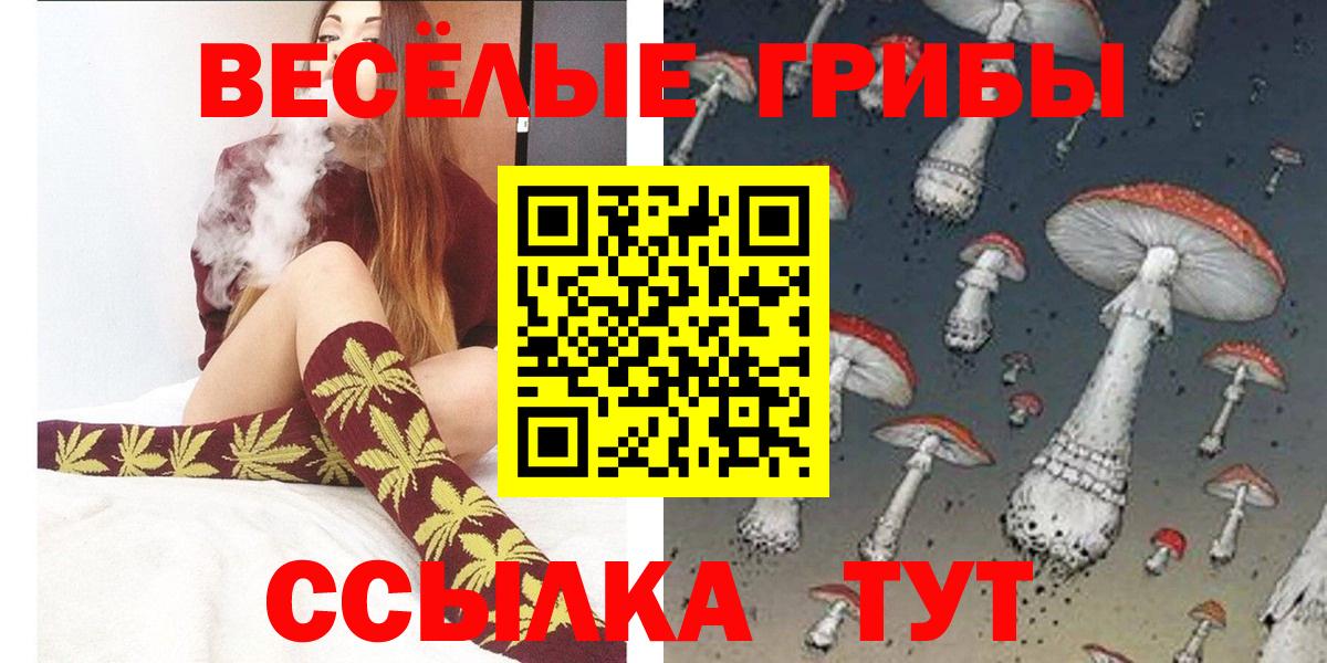Псилоцибиновые грибы Psilocybine cubensis  Вход с VPN  Назрань 